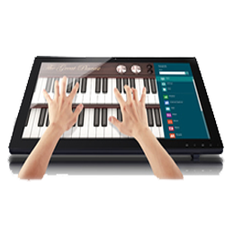 TOUCH SCREEN DISPLAY MONITORS